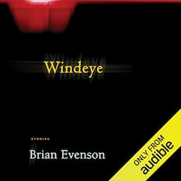 Windeye