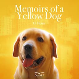 Memoirs of a Yellow Dog