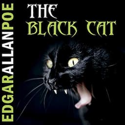 The Black Cat