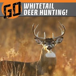 Go Whitetail Deer Hunting!