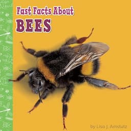 Fast Facts About Bees