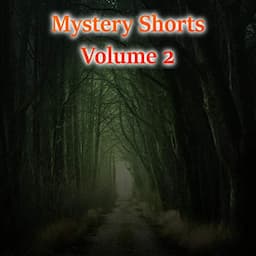 Mystery Shorts Volume 2