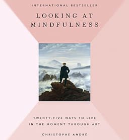 Looking at Mindfulness