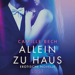 Allein zu Haus. Erotische Novelle