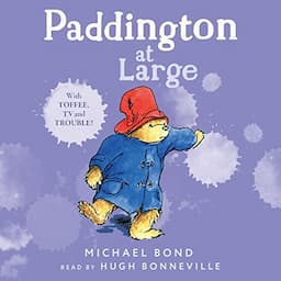 Paddington at Large