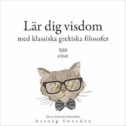 L&auml;rande visdom med grekiska klassiska filosofer 500 citat