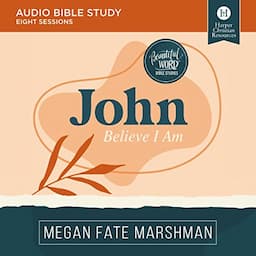 John: Audio Bible Studies (Believe I Am)