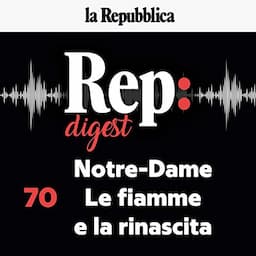 Notre - Dame. Le fiamme e la rinascita