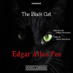 The Black Cat