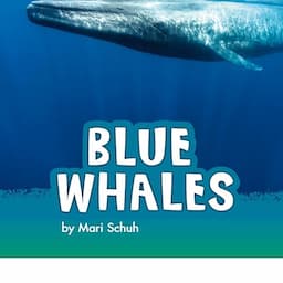 Blue Whales