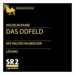 Das Odfeld