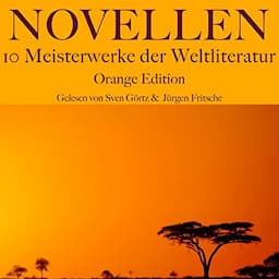 Novellen - 10 Meisterwerke der Weltliteratur - Orange Edition