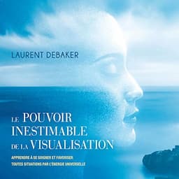 Le pouvoir inestimable de la visualisation