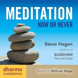 Meditation Now or Never