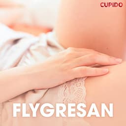 Flygresan - erotiska noveller