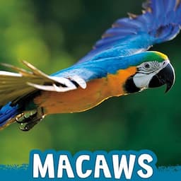 Macaws