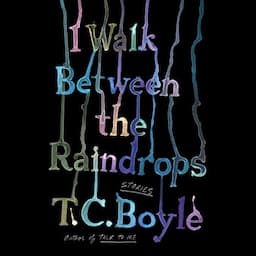 I Walk Between the Raindrops