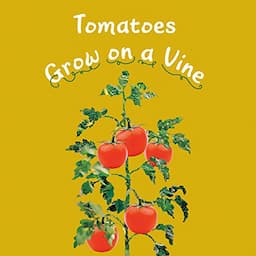 Tomatoes Grow on a Vine