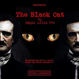 The Black Cat