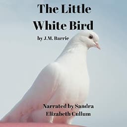 The Little White Bird