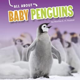 All About Baby Penguins