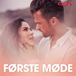 F&oslash;rste m&oslash;de &ndash; erotisk novelle