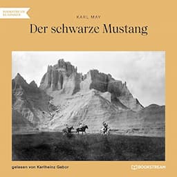 Der schwarze Mustang