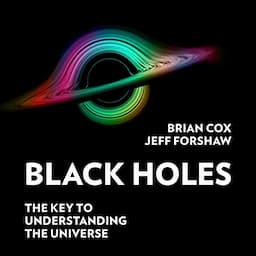 Black Holes