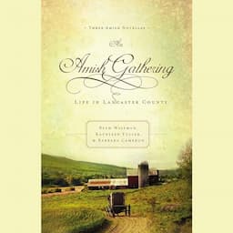 An Amish Gathering