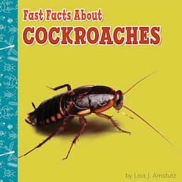 Fast Facts About Cockroaches