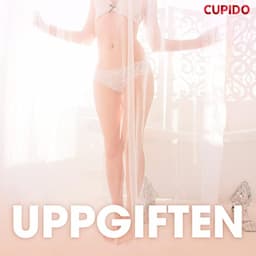 Uppgiften &ndash; erotiska noveller