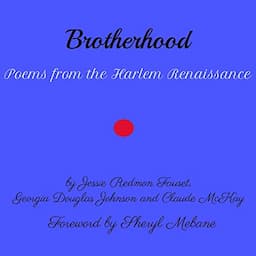 Brotherhood: Poems from the Harlem Renaissance