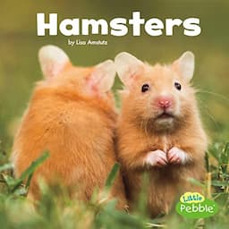 Hamsters