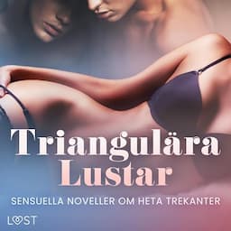 Triangul&auml;ra Lustar - Sensuella noveller om heta trekanter