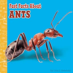 Fast Facts About Ants