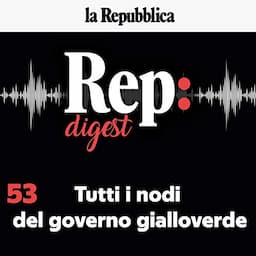 Tutti i nodi del governo gialloverde