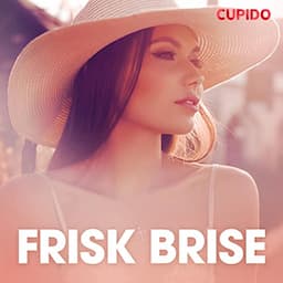 Frisk brise - erotisk novelle