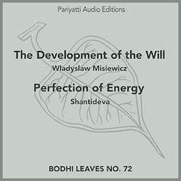 The Development of the Will and Perfection of Energy