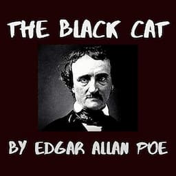 The Black Cat