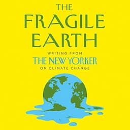 The Fragile Earth