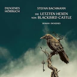 Die letzten Hexen von Blackbird Castle