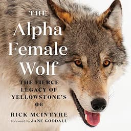 The Alpha Female Wolf