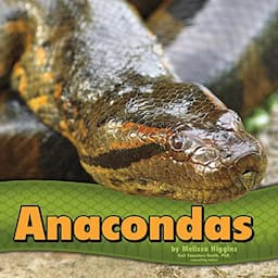 Anacondas