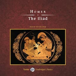 The Iliad