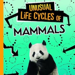 Unusual Life Cycles of Mammals