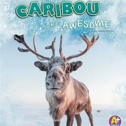 Caribou Are Awesome