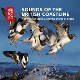 Sounds of the British Coastline