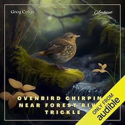 Ovenbird Chirping Near Forest River Trickle