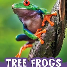 Tree Frogs