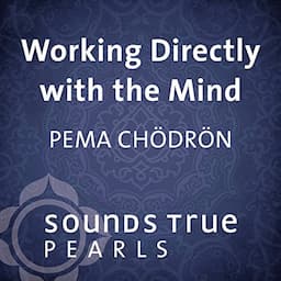 Working Directly with the Mind